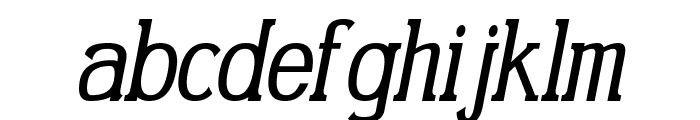 Gabriel Serif Condensed Italic Font LOWERCASE