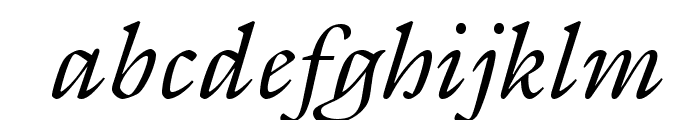 GalliardStd-Italic Font LOWERCASE