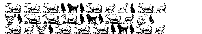 Gans Animals Font OTHER CHARS