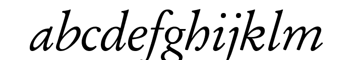 GaramondItalic Font LOWERCASE