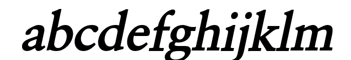Garrick Bold Italic Font LOWERCASE