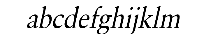 Garrick Condensed Italic Font LOWERCASE