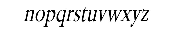 Garrick Thin Italic Font LOWERCASE