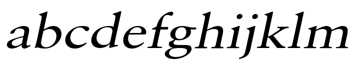 Garrick Wide Italic Font LOWERCASE