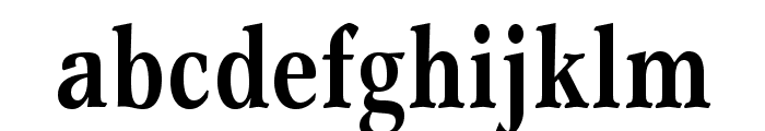 GarthGraphicStd-BoldCond Font LOWERCASE