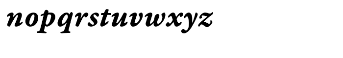 Garamond Premier Bold Italic Caption Font LOWERCASE
