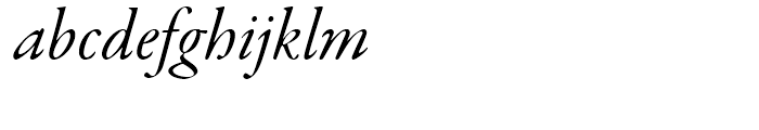 Garamond Premier Italic Subhead Font LOWERCASE