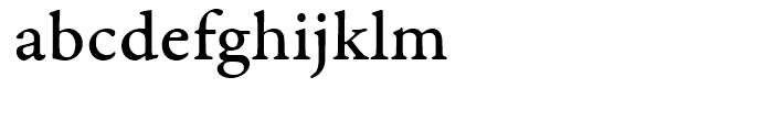 Garamond Premier Medium Caption Font LOWERCASE