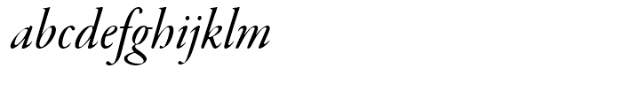 Garamond Premier Medium Italic Display Font LOWERCASE