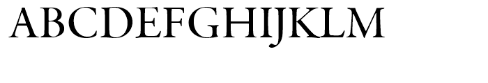Garamond Premier Medium Subhead Font UPPERCASE