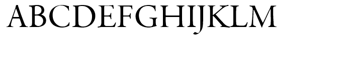 Garamond Premier Subhead Font UPPERCASE