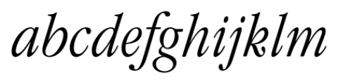 Garamond Modern FS Light Italic Font LOWERCASE