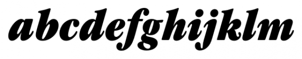 Garamond Modern FS Ultra Italic Font LOWERCASE