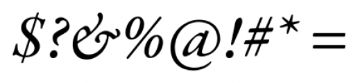 Garamond Premier Pro Medium Italic Font OTHER CHARS