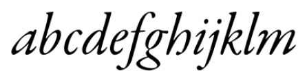 Garamond Premier Pro Subhead Italic Font LOWERCASE