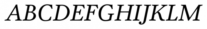 Garvis Pro Italic Font UPPERCASE