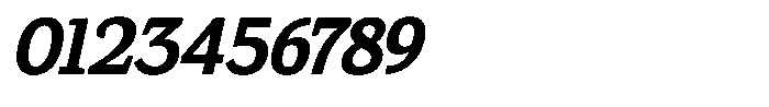 Gadinga Serif Bold Italic Condensed Font OTHER CHARS