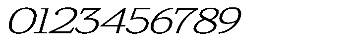 Gadinga Serif Extra Light Italic Expanded Font OTHER CHARS