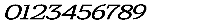 Gadinga Serif Italic Expanded Font OTHER CHARS