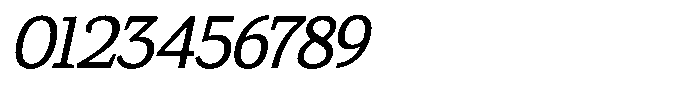 Gadinga Serif Italic Semi Condensed Font OTHER CHARS