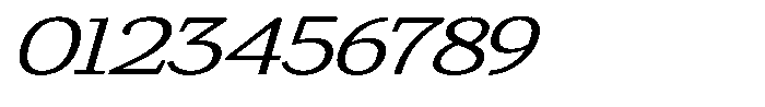 Gadinga Serif Light Italic Expanded Font OTHER CHARS