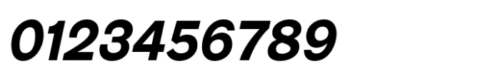 Galderglynn 1884 Bold Italic Font OTHER CHARS