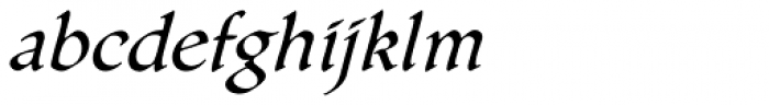 Gallegos Pro Italic Font LOWERCASE