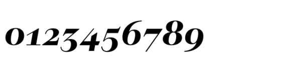 Gallensis Title Bold Italic Font OTHER CHARS