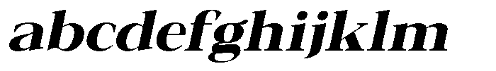Galnery Black Expanded Slanted FONT