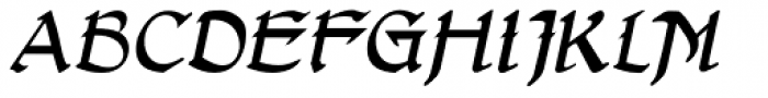 Gans Antigua Manuscrito Italic Font UPPERCASE