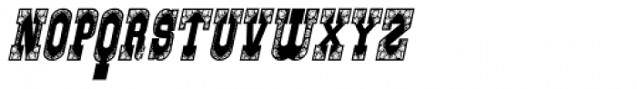 Gans Italiana Decorativa Italic Font LOWERCASE