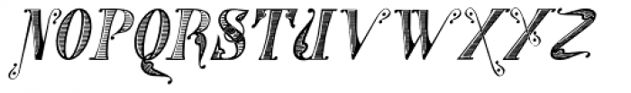 Gans Tipo Adorno Handtooled Italic Font LOWERCASE