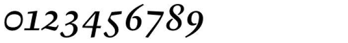 Garalda Medium Italic Font OTHER CHARS