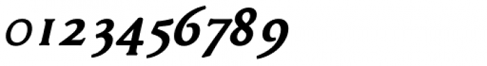 Garaline Bold Italic Font OTHER CHARS