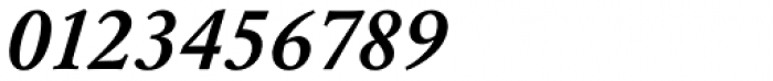Garamond Nr 2 SB Medium Italic Font OTHER CHARS