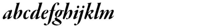 Garamond Premr Pro Display Bold Italic Font LOWERCASE