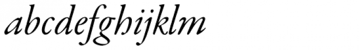 Garamond Premr Pro SubHead Italic Font LOWERCASE