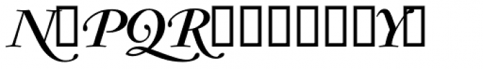 Garamond RR Bold Italic Swashes Font UPPERCASE