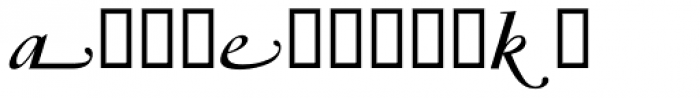 Garamond RR Bold Italic Swashes Font LOWERCASE