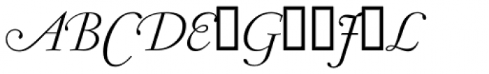 Garamond RR Light Italic Swashes Font UPPERCASE