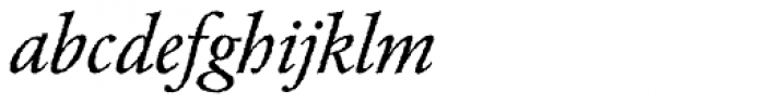 Garamond Rough H EF Italic Font LOWERCASE
