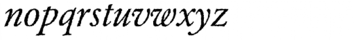 Garamond Rough H EF Italic Font LOWERCASE