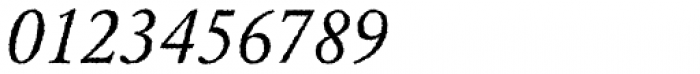 Garamond Rough Pro Regular Italic Font OTHER CHARS