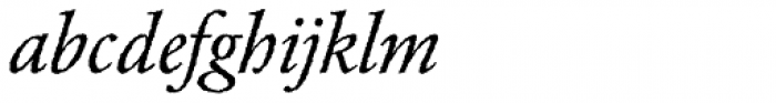 Garamond Rough Pro Regular Italic Font LOWERCASE