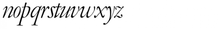 Garamont Amst SH Italic Font LOWERCASE
