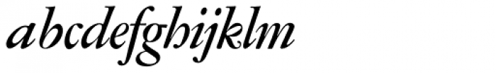Garamont Amst SH Med Italic Font LOWERCASE