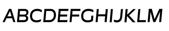 Garnison Book Italic Expanded Font UPPERCASE