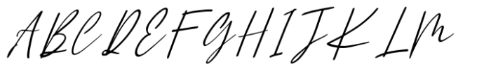 Gattermoon Handwritten Signature Font Font UPPERCASE