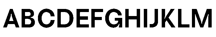 GargoyleNew Bold Instance Font UPPERCASE