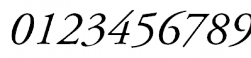 Garamond (APC) Italic Font OTHER CHARS